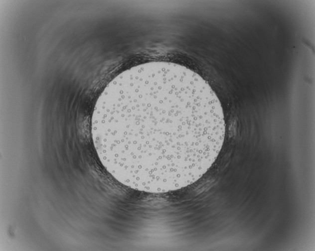 X0000103491156200810241055