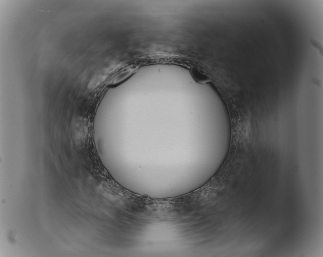 X0000103491157200810241055