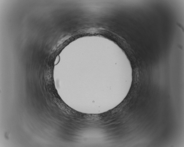 X0000103491158200810241055