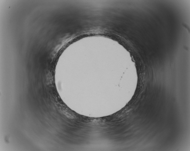 X0000103491160200810241055