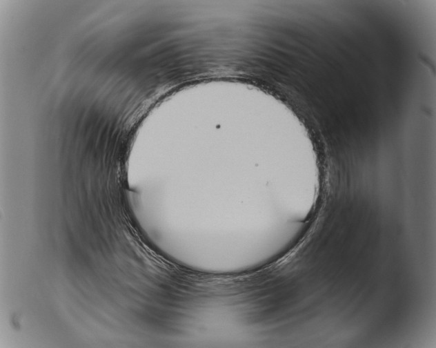 X0000103491161200810241055