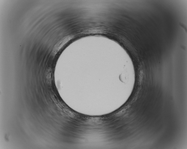 X0000103491162200810241055