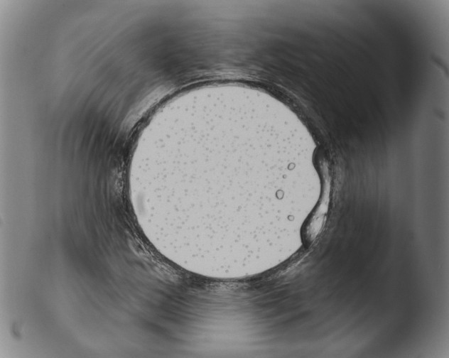 X0000103491163200810241055