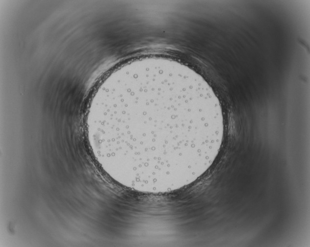 X0000103491164200810241054