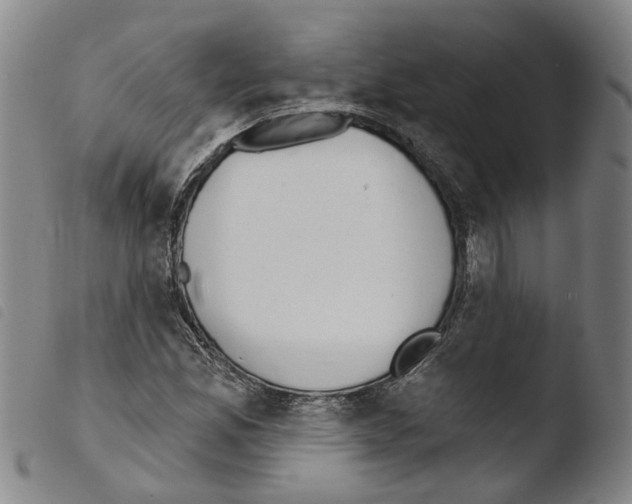 X0000103491165200810241054