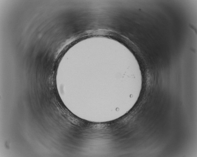 X0000103491166200810241054