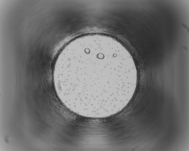X0000103491167200810241054