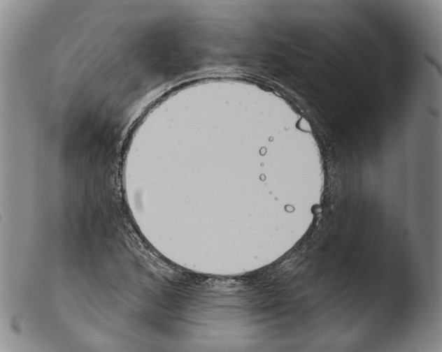 X0000103491168200810241054