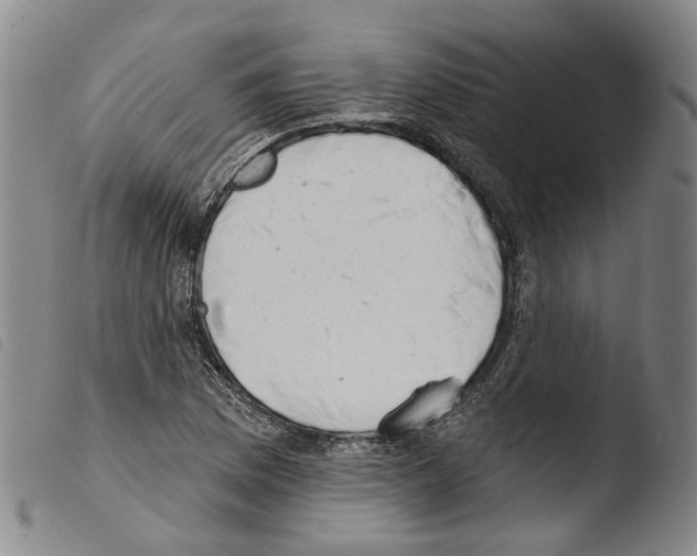 X0000103491169200810241054
