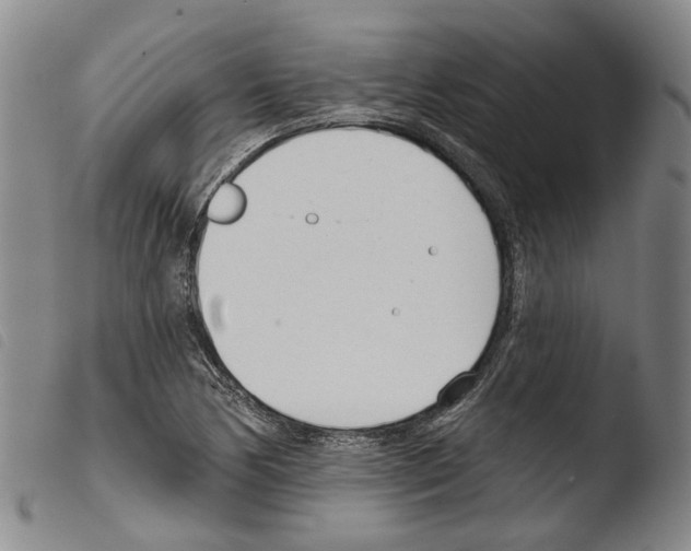 X0000103491170200810241054