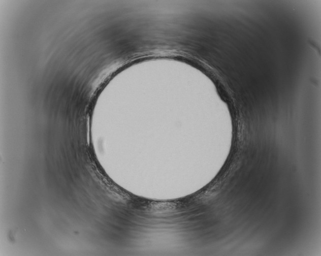 X0000103491171200810241054