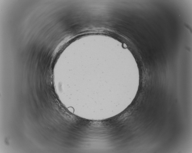 X0000103491172200810241054