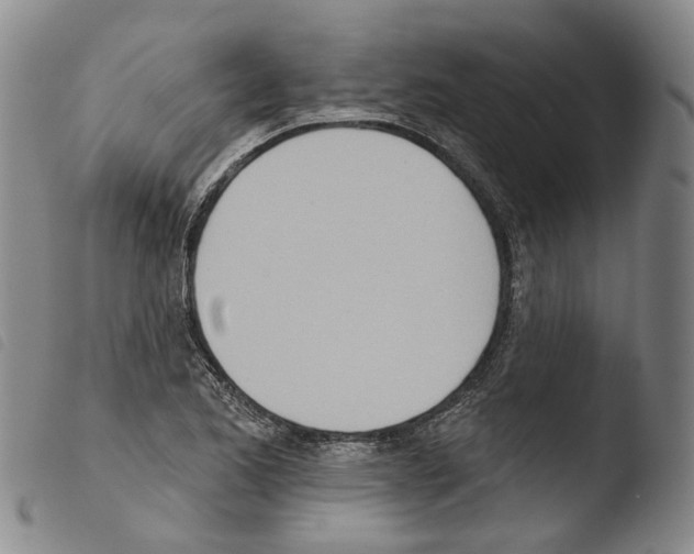 X0000103491173200810241054