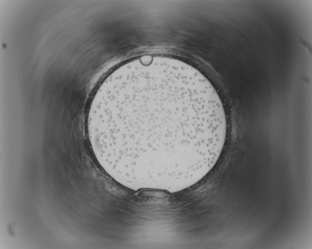 X0000103491174200810241054