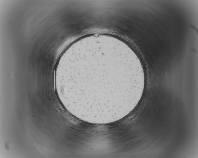 X0000103491175200810241054