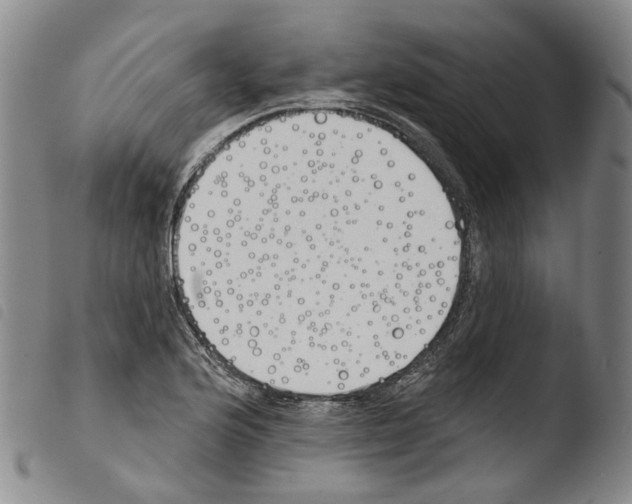 X0000103491176200810241054