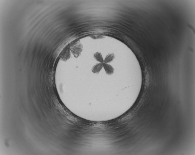 X0000103491178200810241054