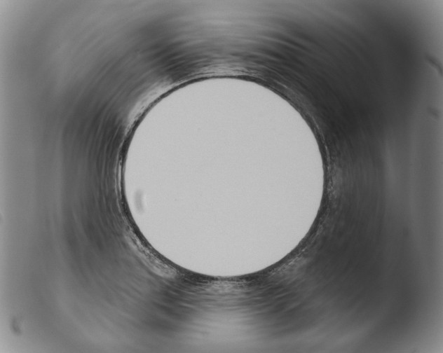 X0000103491179200810241054