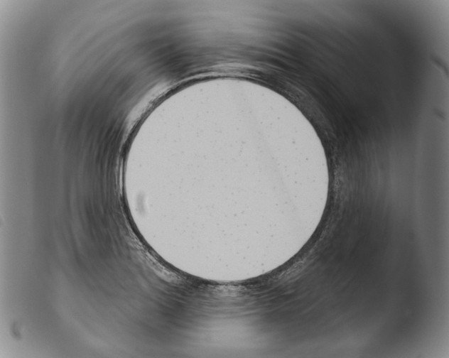 X0000103491180200810241054