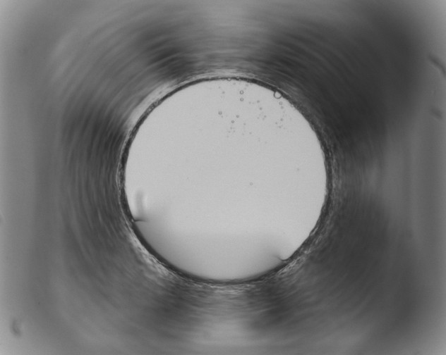 X0000103491181200810241054