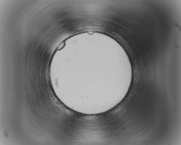X0000103491182200810241054