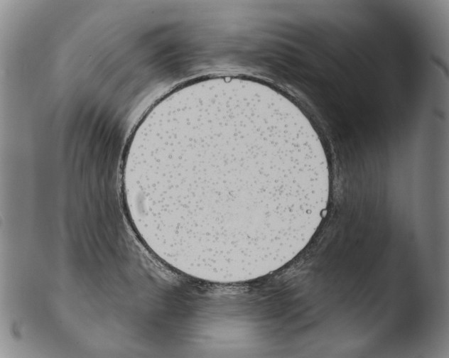 X0000103491183200810241054