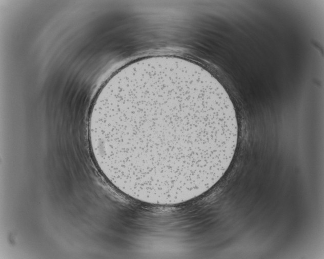 X0000103491184200810241054