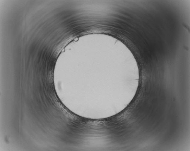 X0000103491185200810241054