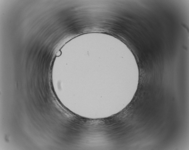 X0000103491187200810241054