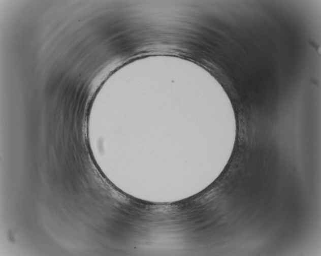 X0000103491188200810241054