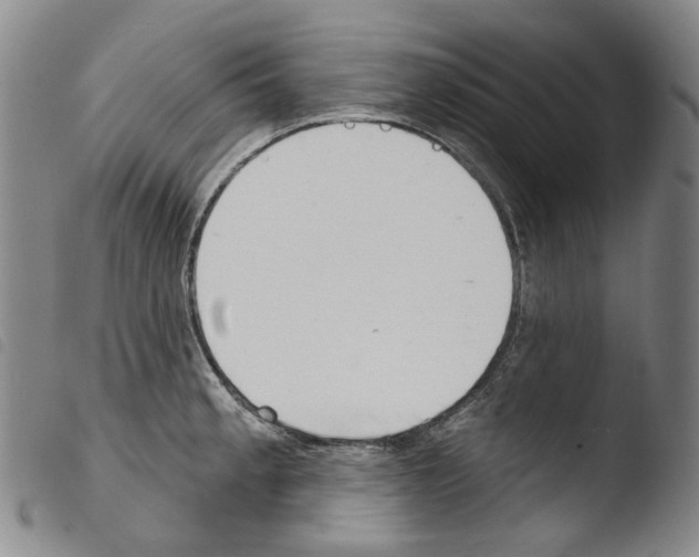 X0000103491189200810241054