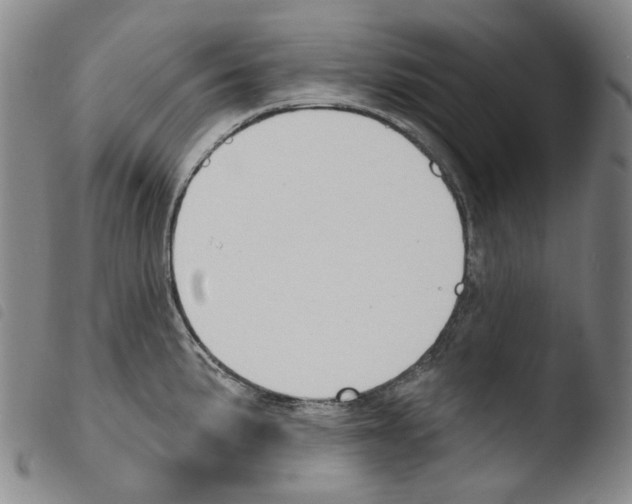 X0000103491191200810241054
