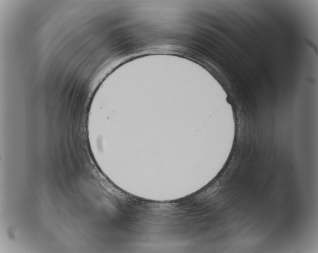 X0000103491192200810241054