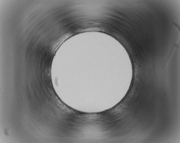 X0000103491193200810241054