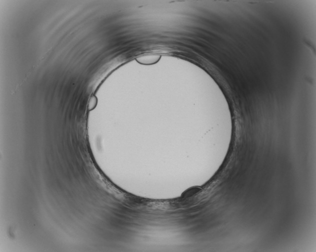 X0000103491194200810241054