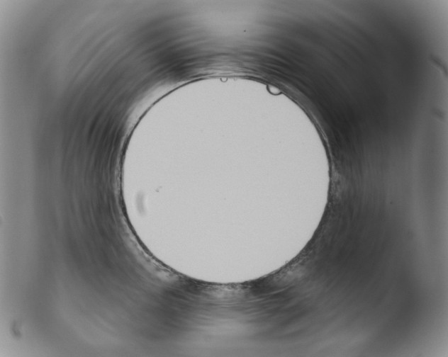 X0000103491195200810241054