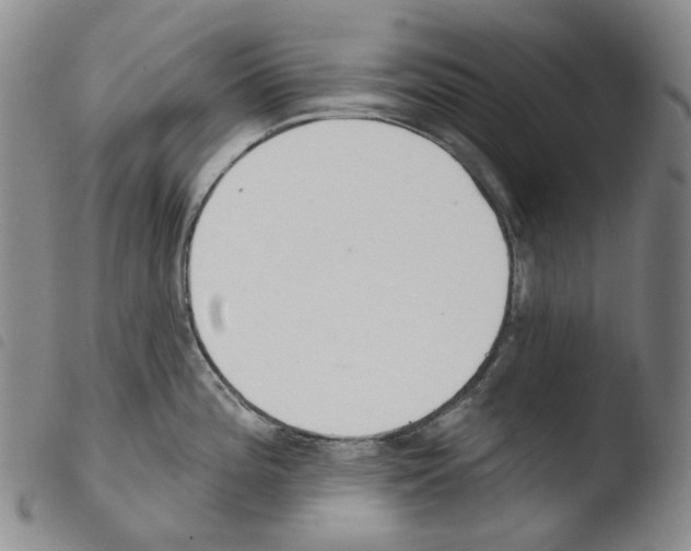 X0000103491196200810241054