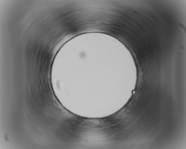 X0000103491197200810241054