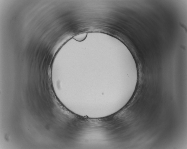 X0000103491198200810241054