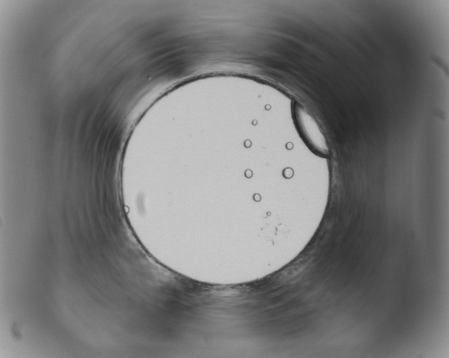 X0000103491199200810241054