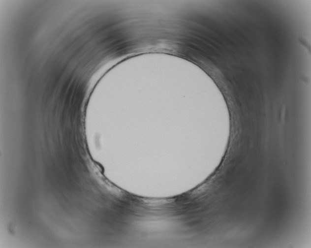 X0000103491200200810241054