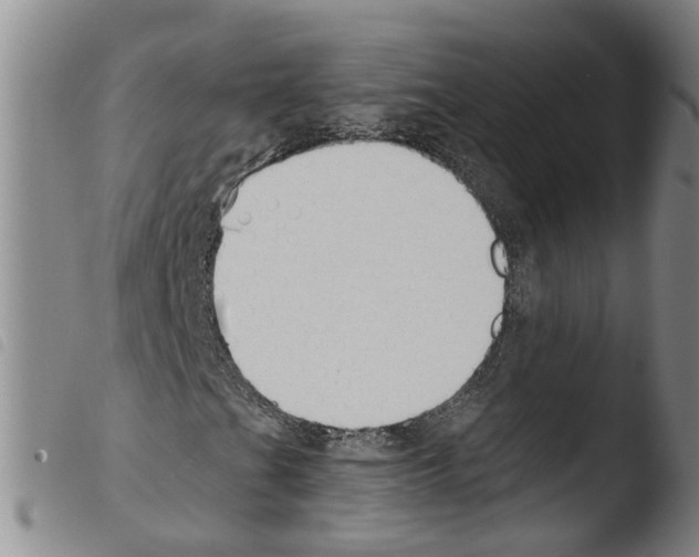 X0000103491201200810241053