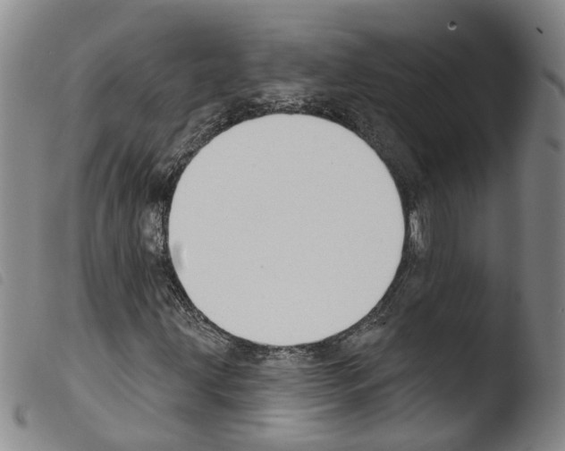 X0000103491203200810241053