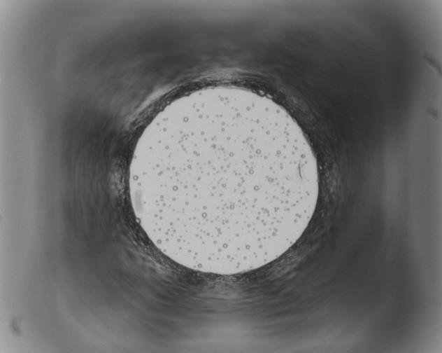 X0000103491206200810241053