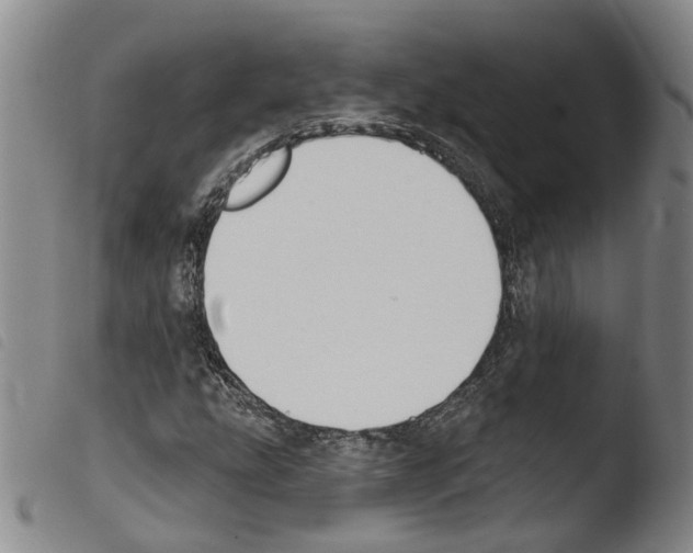 X0000103491207200810241053