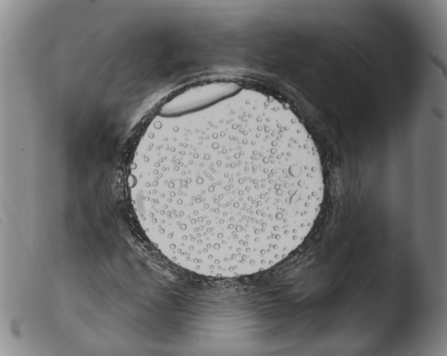 X0000103491208200810241053