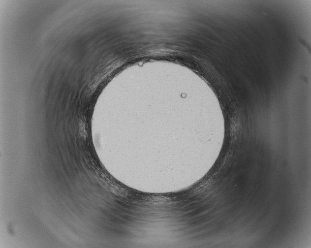 X0000103491209200810241053