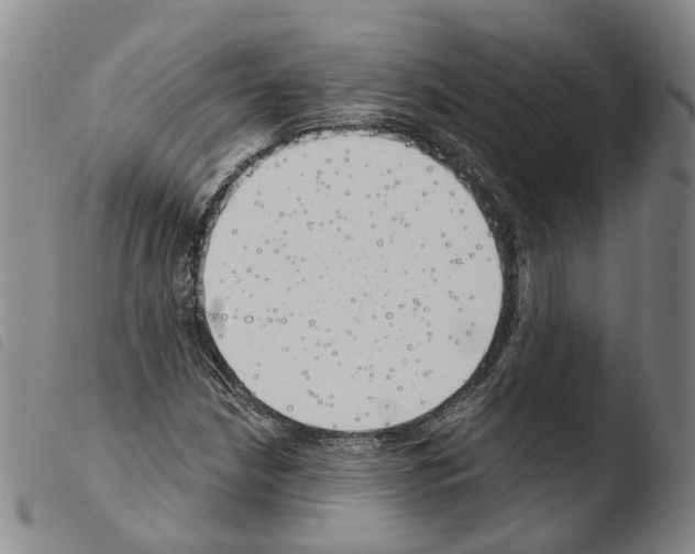 X0000103491210200810241053