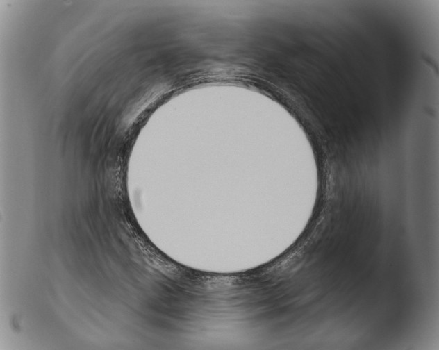 X0000103491211200810241053