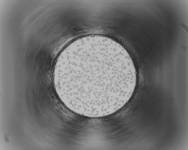X0000103491212200810241053